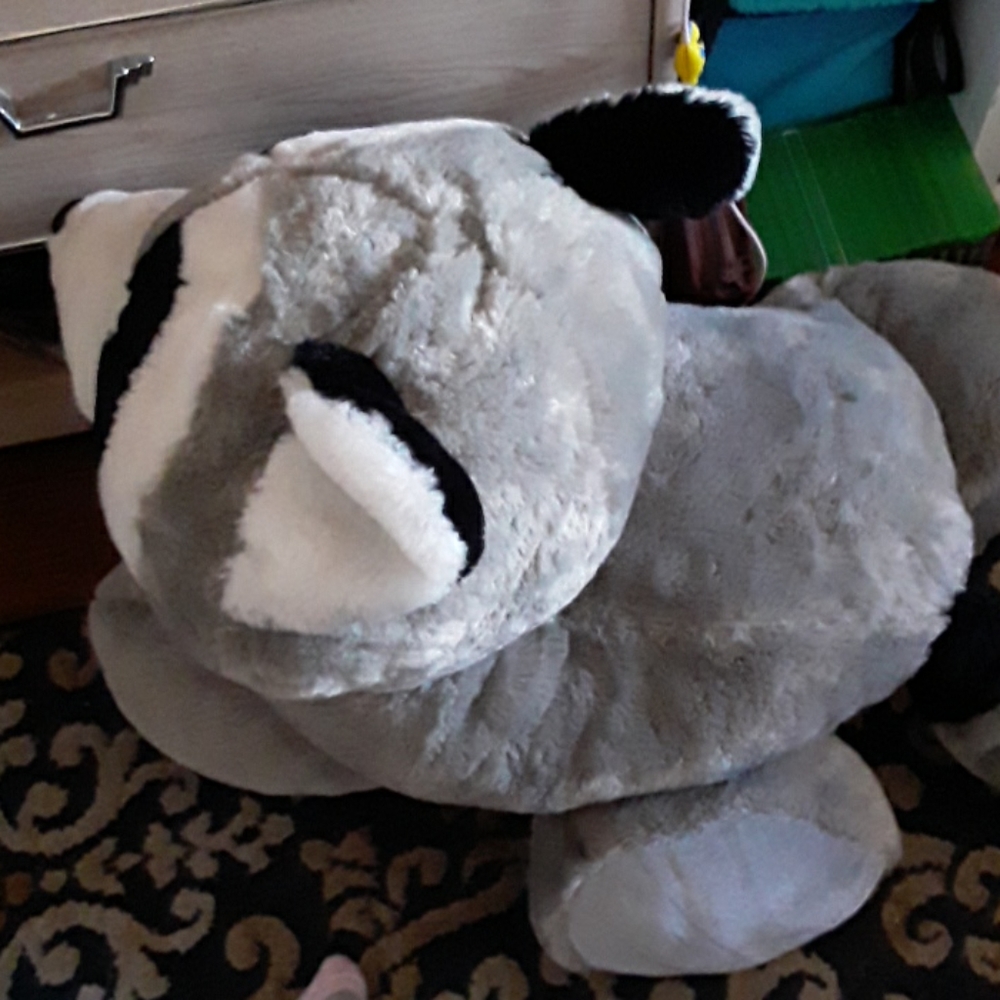 🦝🦝🦝🦝 plush toy